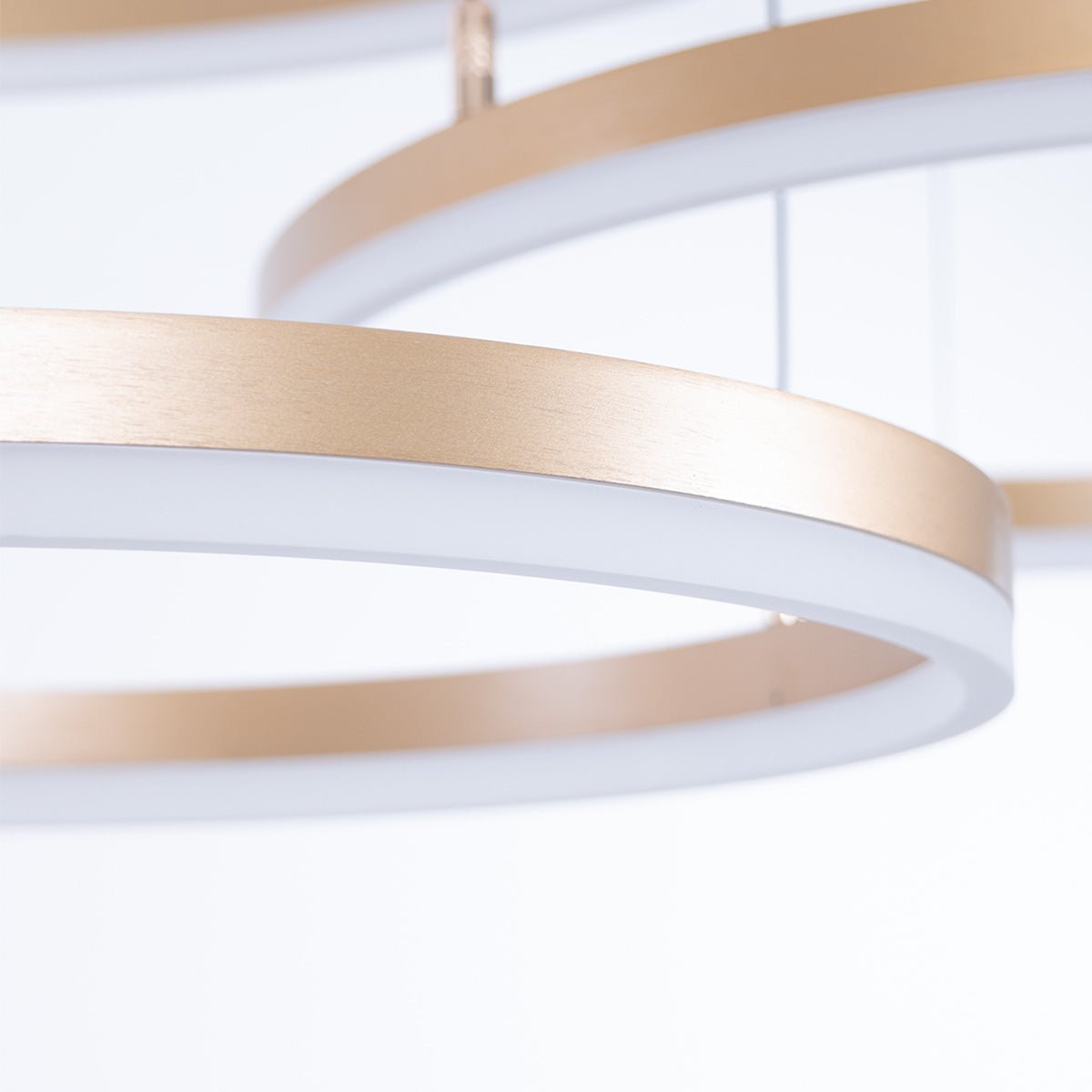 Nordic Ceiling Ring Lights • Gold - Chandelier - Haus of Interiors