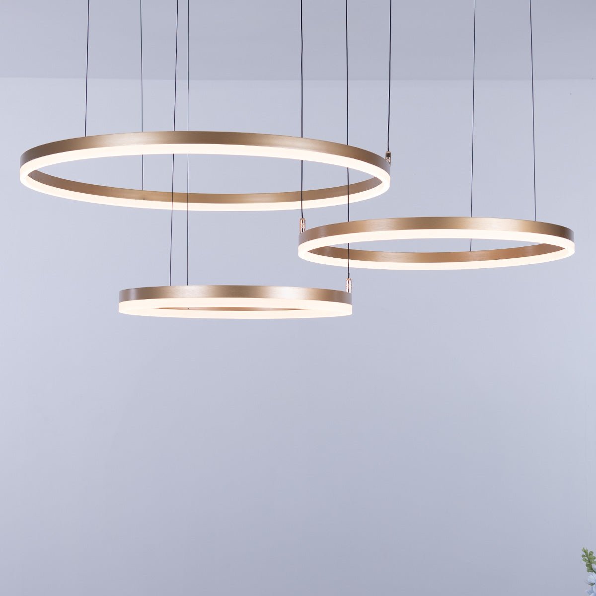 Nordic Ceiling Ring Lights • Gold - Chandelier - Haus of Interiors