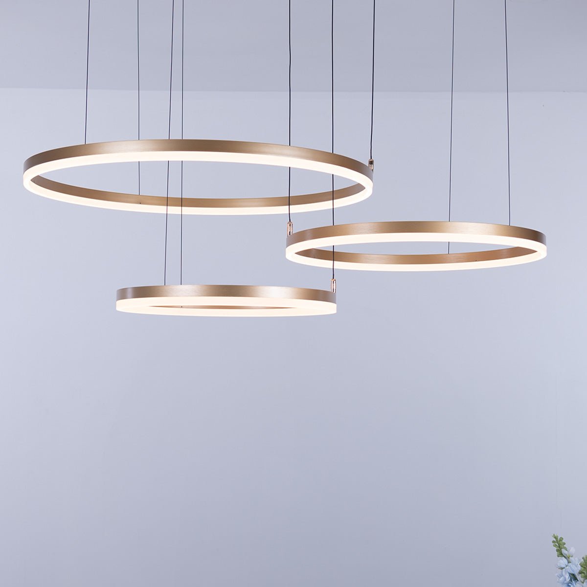 Nordic Ceiling Ring Lights • Gold - Chandelier - Haus of Interiors