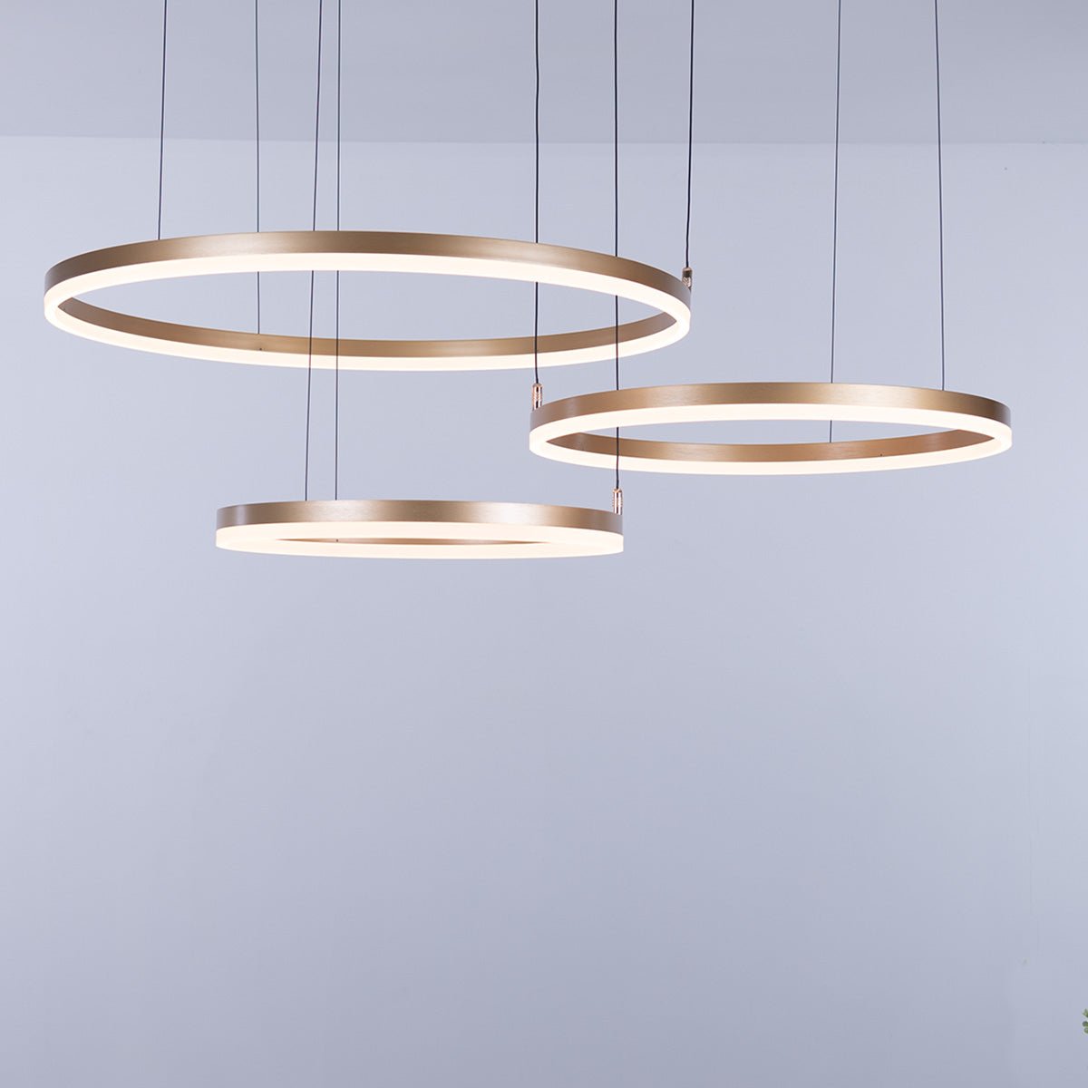 Nordic Ceiling Ring Lights • Gold - Chandelier - Haus of Interiors