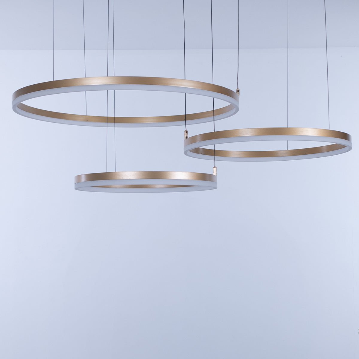 Nordic Ceiling Ring Lights • Gold - Chandelier - Haus of Interiors